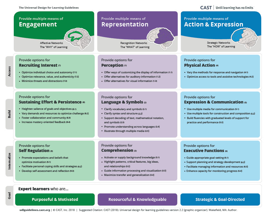 UDL Principles